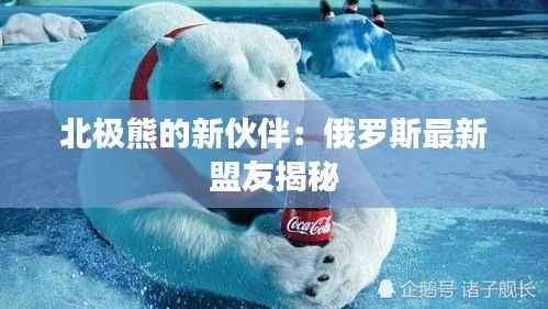 北极熊的新伙伴：俄罗斯最新盟友揭秘
