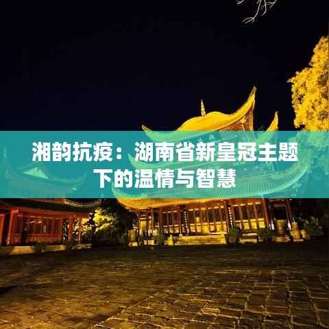 湘韵抗疫：湖南省新皇冠主题下的温情与智慧