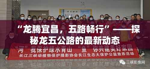 “龙腾宜昌，五路畅行”——探秘龙五公路的最新动态