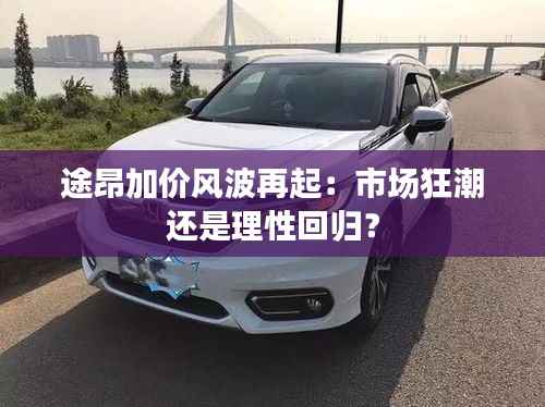 途昂加价风波再起：市场狂潮还是理性回归？