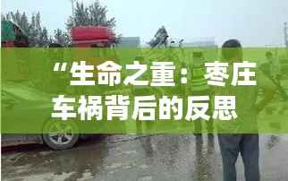 “生命之重：枣庄车祸背后的反思与前行”