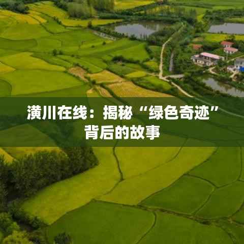 潢川在线：揭秘“绿色奇迹”背后的故事