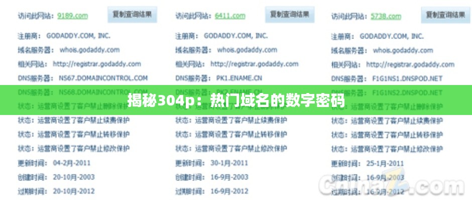 揭秘304p：热门域名的数字密码
