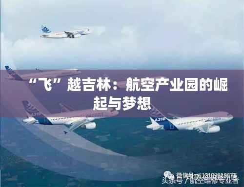 “飞”越吉林：航空产业园的崛起与梦想