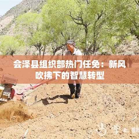 会泽县组织部热门任免：新风吹拂下的智慧转型