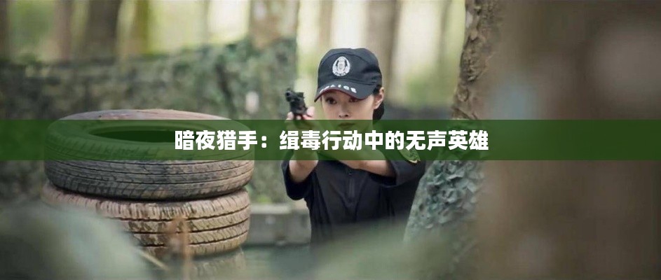 暗夜猎手：缉毒行动中的无声英雄
