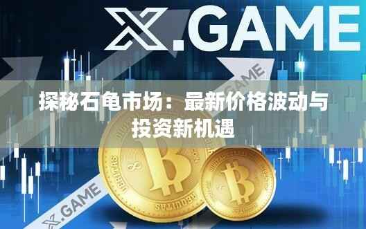 探秘石龟市场：最新价格波动与投资新机遇