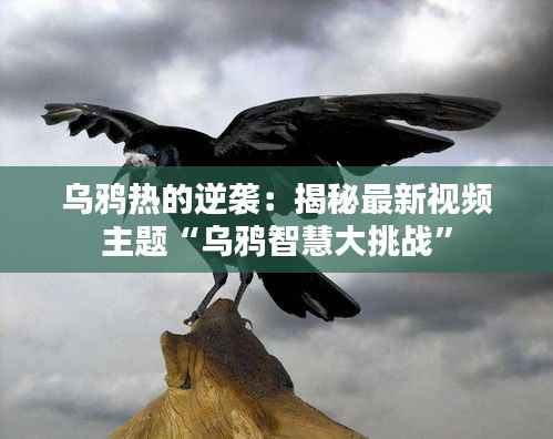 乌鸦热的逆袭：揭秘最新视频主题“乌鸦智慧大挑战”
