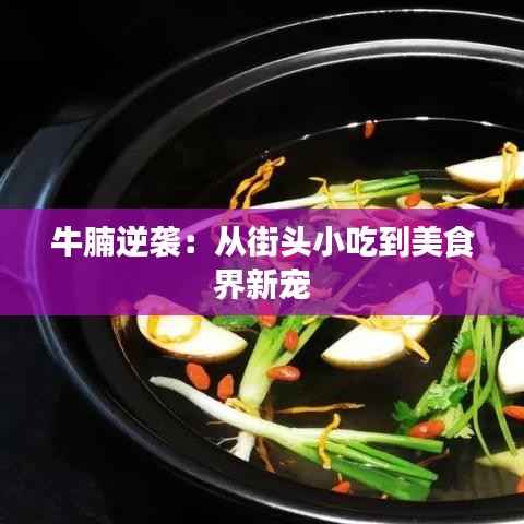 牛腩逆袭：从街头小吃到美食界新宠