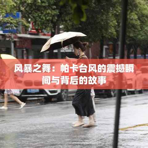 风暴之舞：帕卡台风的震撼瞬间与背后的故事