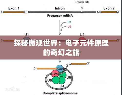 探秘微观世界：电子元件原理的奇幻之旅
