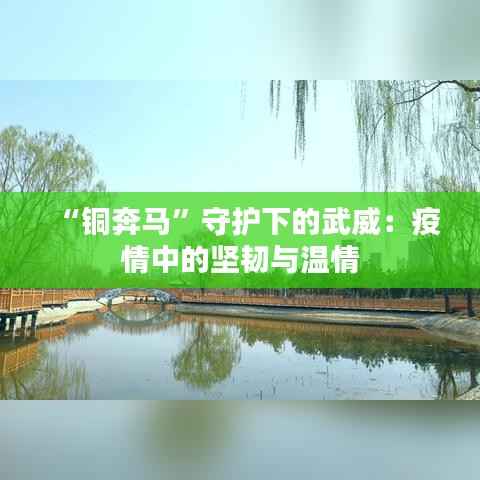 “铜奔马”守护下的武威：疫情中的坚韧与温情