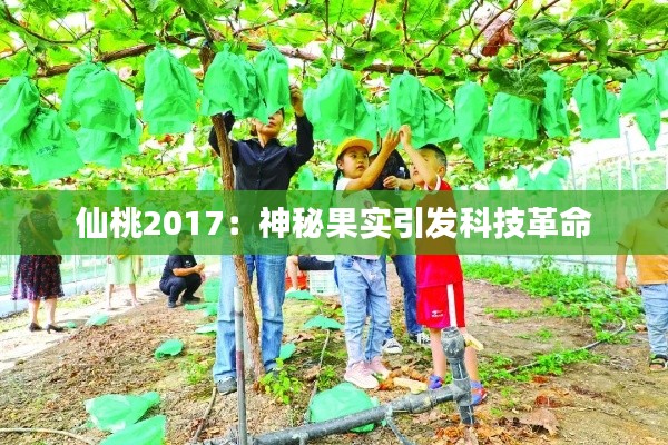 仙桃2017：神秘果实引发科技革命