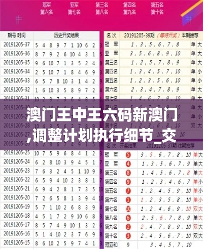 澳门王中王六码新澳门,调整计划执行细节_交互版1.152