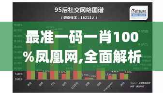 最准一码一肖100%凤凰网,全面解析数据执行_C版8.362