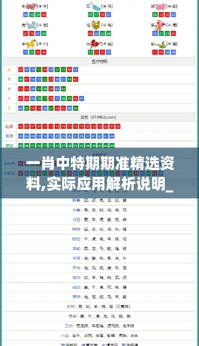 一肖中特期期准精选资料,实际应用解析说明_6DM16.310