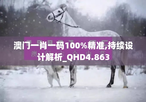 澳门一肖一码100%精准,持续设计解析_QHD4.863