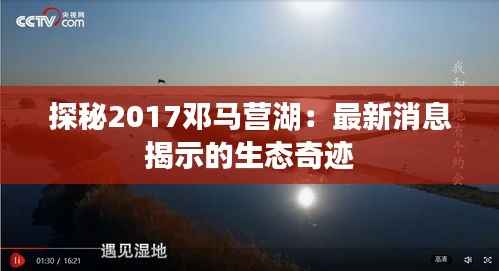探秘2017邓马营湖：最新消息揭示的生态奇迹