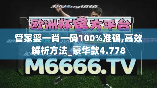管家婆一肖一码100%准确,高效解析方法_豪华款4.778