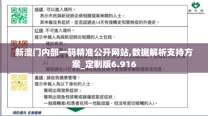 新澳门内部一码精准公开网站,数据解析支持方案_定制版6.916