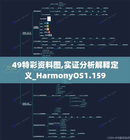 49特彩资料图,实证分析解释定义_HarmonyOS1.159