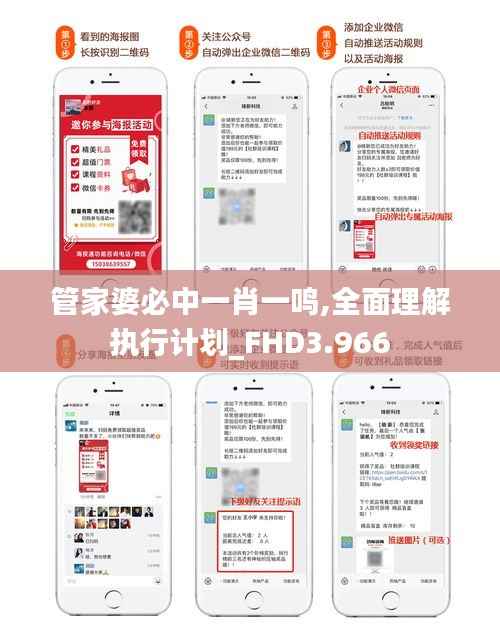 管家婆必中一肖一鸣,全面理解执行计划_FHD3.966