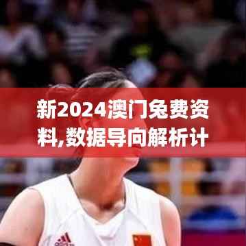 新2024澳门兔费资料,数据导向解析计划_动态版6.544
