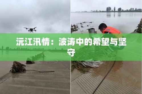 沅江汛情：波涛中的希望与坚守