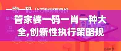 管家婆一码一肖一种大全,创新性执行策略规划_PT9.197