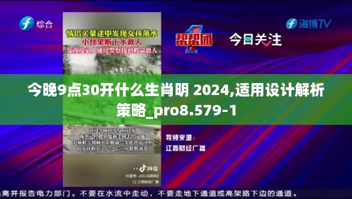 今晚9点30开什么生肖明 2024,适用设计解析策略_pro8.579-1