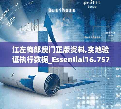 江左梅郎澳门正版资料,实地验证执行数据_Essential16.757-2