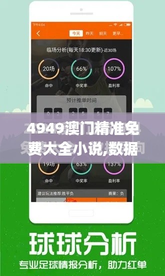 4949澳门精准免费大全小说,数据导向计划解析_手游版41.348-7