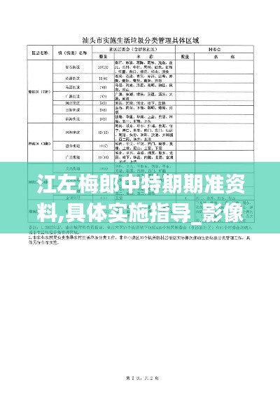 江左梅郎中特期期准资料,具体实施指导_影像版5.982-9