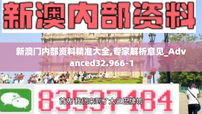 新澳门内部资料精准大全,专家解析意见_Advanced32.966-1