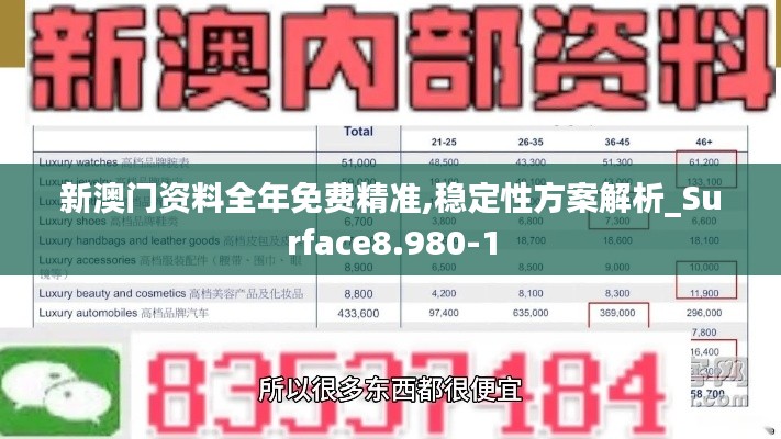 新澳门资料全年免费精准,稳定性方案解析_Surface8.980-1