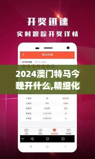 2024澳门特马今晚开什么,精细化方案实施_交互版176.451-3