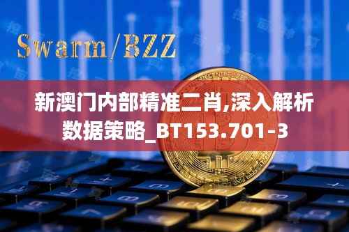 新澳门内部精准二肖,深入解析数据策略_BT153.701-3