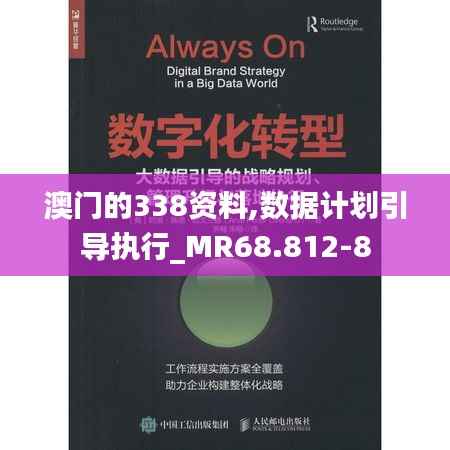 澳门的338资料,数据计划引导执行_MR68.812-8