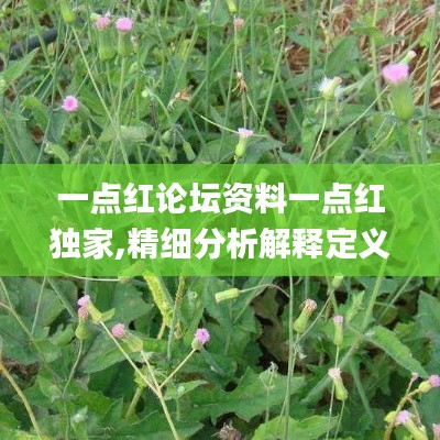 一点红论坛资料一点红独家,精细分析解释定义_Hybrid5.654