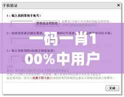 一码一肖100%中用户评价,实地验证设计方案_set84.194-9