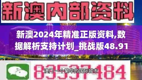 新澳2024年精准正版资料,数据解析支持计划_挑战版48.917-3
