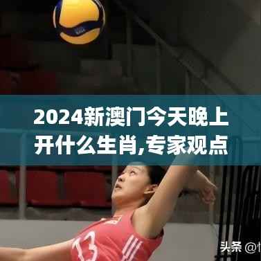 2024新澳门今天晚上开什么生肖,专家观点说明_Device65.199-1