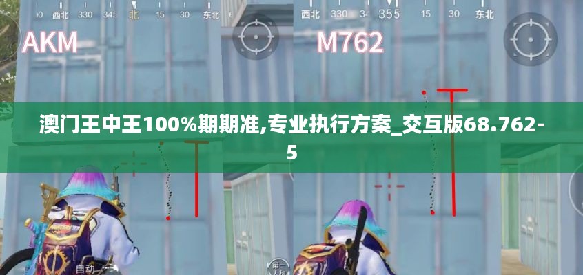 澳门王中王100%期期准,专业执行方案_交互版68.762-5
