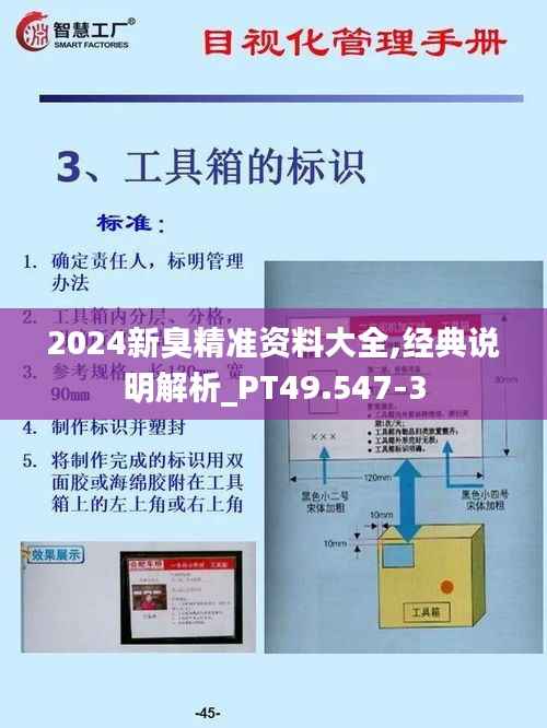 2024新臭精准资料大全,经典说明解析_PT49.547-3
