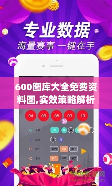 600图库大全免费资料图,实效策略解析_尊享版45.378-2
