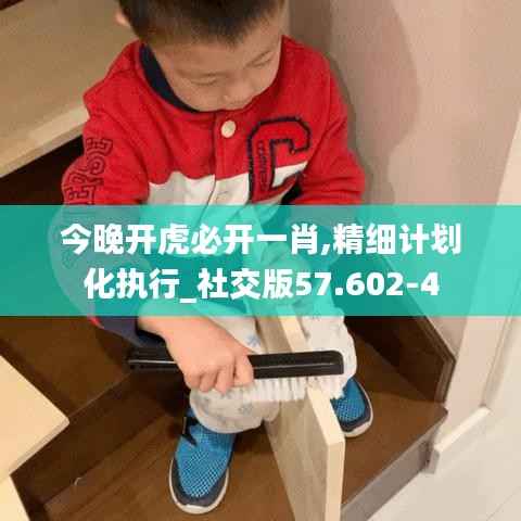 今晚开虎必开一肖,精细计划化执行_社交版57.602-4