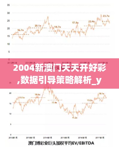 2004新澳门天天开好彩,数据引导策略解析_yShop17.587-6
