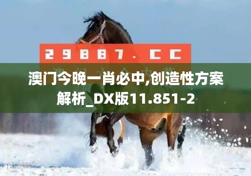 澳门今晚一肖必中,创造性方案解析_DX版11.851-2