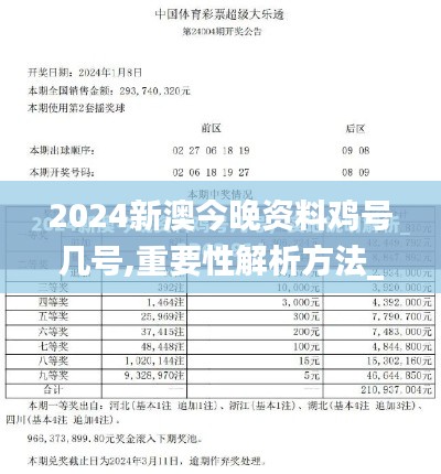 2024新澳今晚资料鸡号几号,重要性解析方法_NE版74.493-9