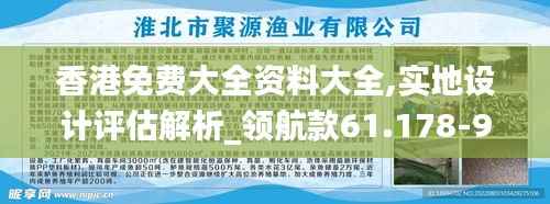 香港免费大全资料大全,实地设计评估解析_领航款61.178-9